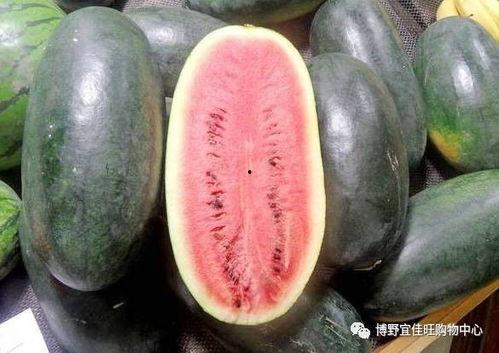 热门大瓜每日必吃大瓜 爆料网吃瓜黑料反差入口,热门大瓜每日必吃，爆料网黑料反差入口