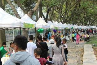 花街巨子,繁华背后的传奇人生